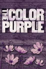 WATCH – The Color Purple
