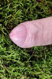 Watch – Cock Friction Moos in the forest