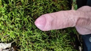 Watch – Cock Friction Moos in the forest